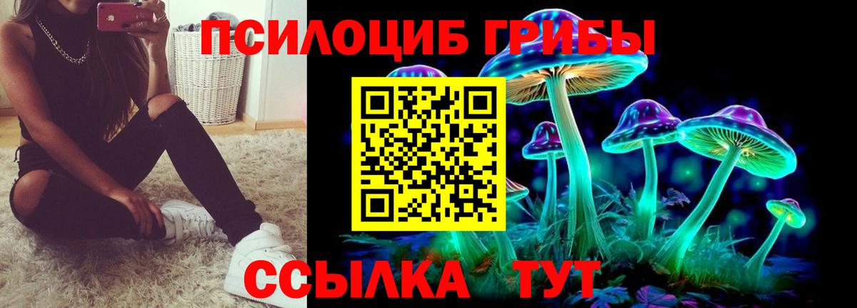 Псилоцибиновые грибы Magic Shrooms Чебоксары