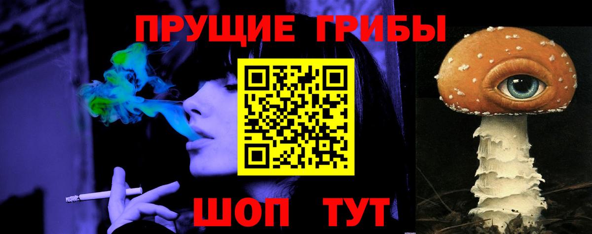 Псилоцибиновые грибы Cubensis  Вход с VPN  Чебоксары 